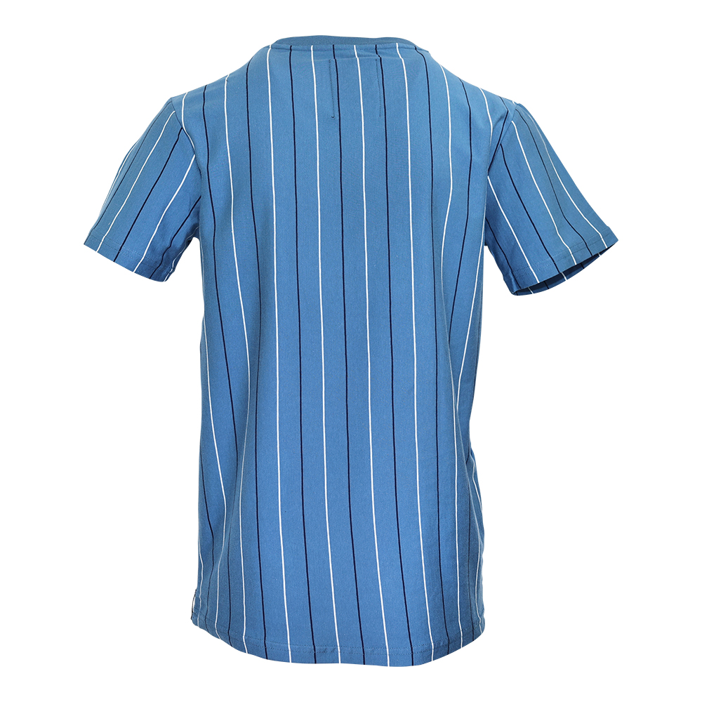 Björkvin T-Shirt "Striber"