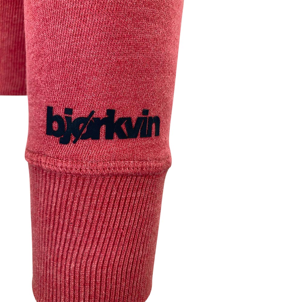 Männliches Model mit Björkvin Hoodie in Red Melange