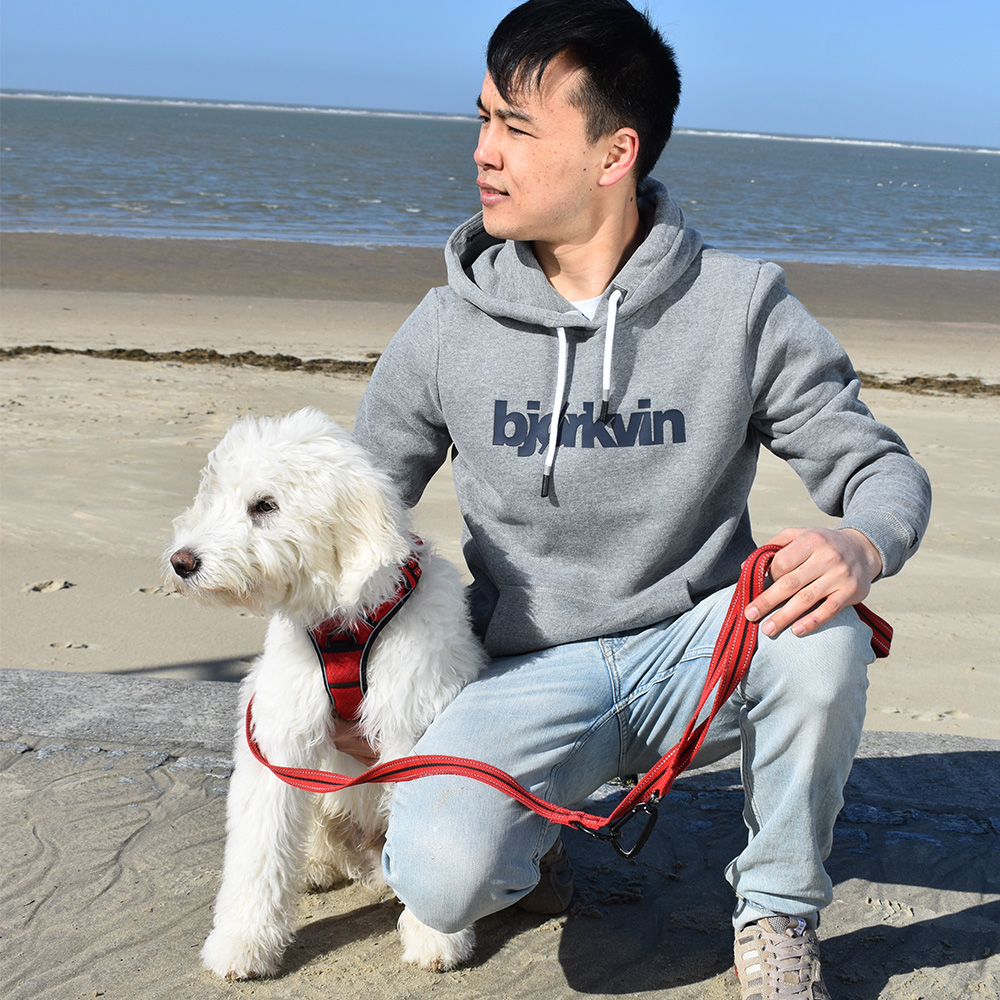 Männliches Model mit Björkvin Hoodie in Silver Melange