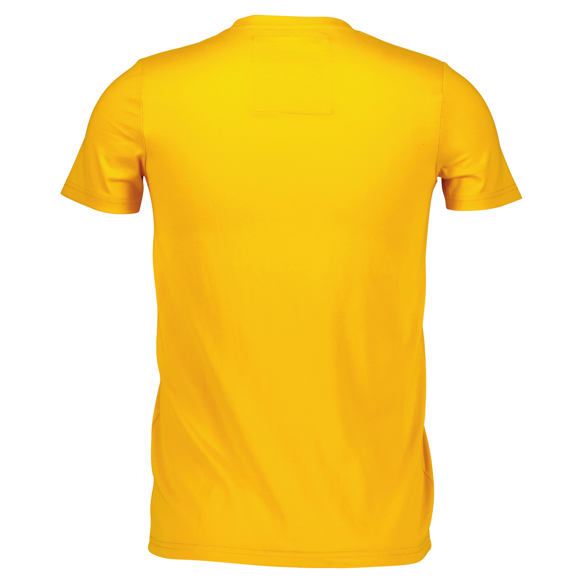 Männliches Model mit Björkvin T-Shirt in Radiant Yellow
